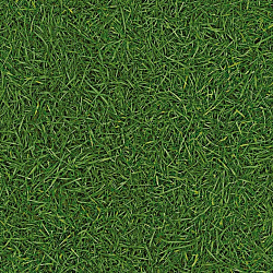 Линолеум Vision Grass T25 IVC