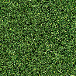 Линолеум Neo Grass 025 IVC