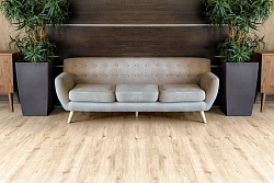 ПВХ-плитка клеевая Дуб ваниль Easy Line ALPINE FLOOR ECO 3-4